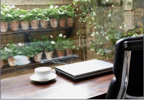 一进门摆个鱼缸 201092016349666.jpg