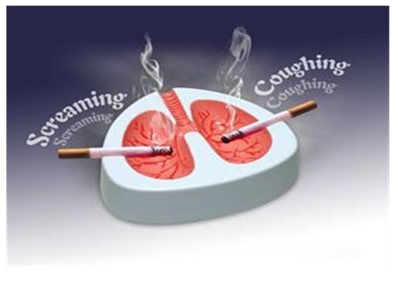 最有效的戒烟小方法