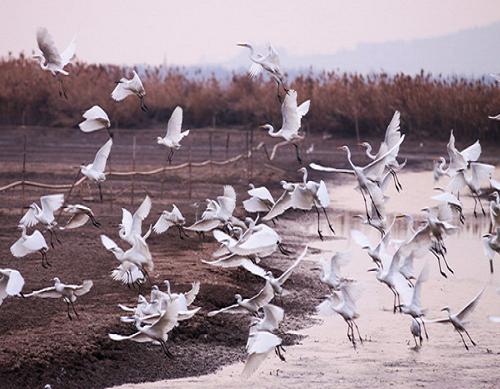 玉环经济开发区简介-玉环企业 -玉环纵纵横-三