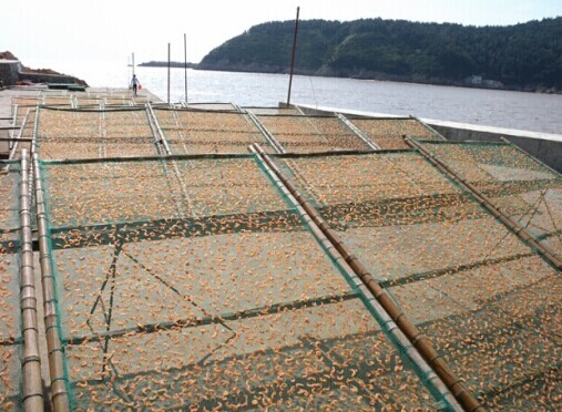 玉环海鲜干货批发_海鲜干货批发市场_浙江玉环