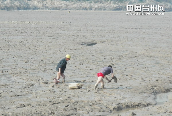 舌尖上的台州:玉环海蜈蚣