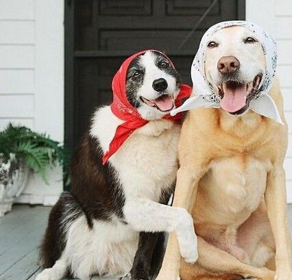 爆笑夫妻生活趣事-萦素段子-玉环纵纵横-三支脚