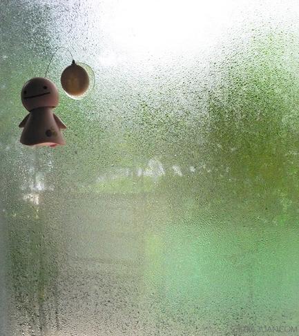 回南天的防潮小妙招-行家里手-玉环纵纵横-三支