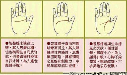 手相看女人断掌会不会克夫-知己知彼-三支脚人才网