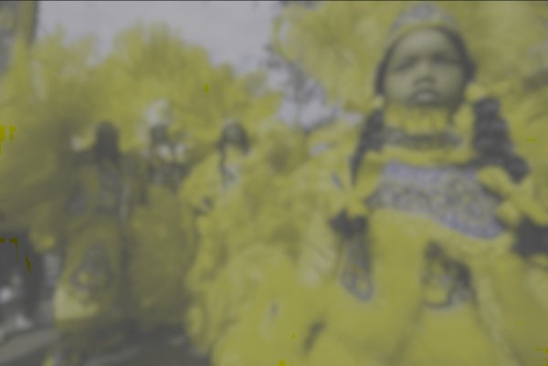 吓尿了!原来狗眼里的世界竟是这样子的-奇闻趣事-玉环纵纵横-三支脚人才网