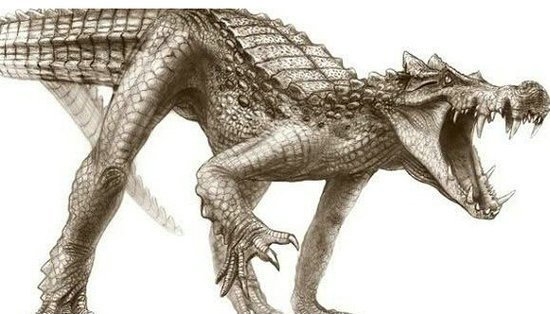完爆恐龙!地球上十大巨型怪兽-神奇动物-三支脚人才网